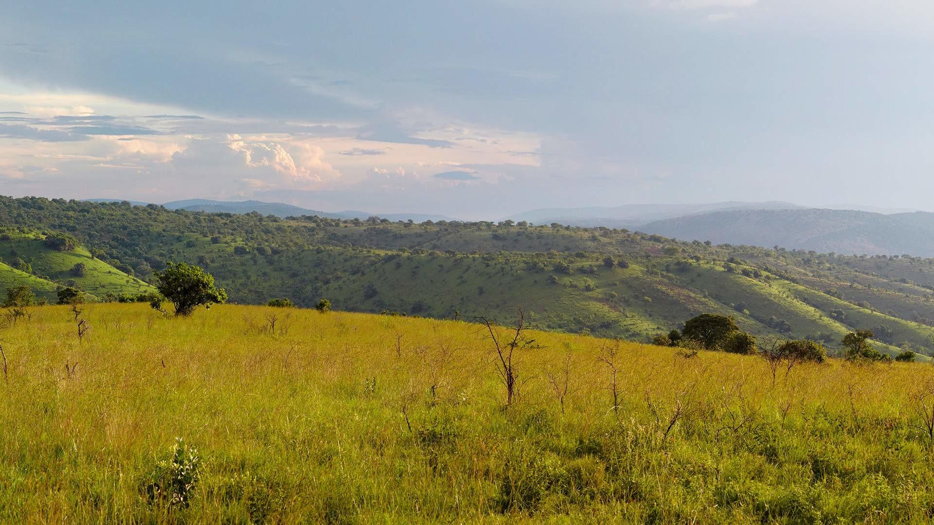 Aerial view of hills and valleys at Akagera National Park