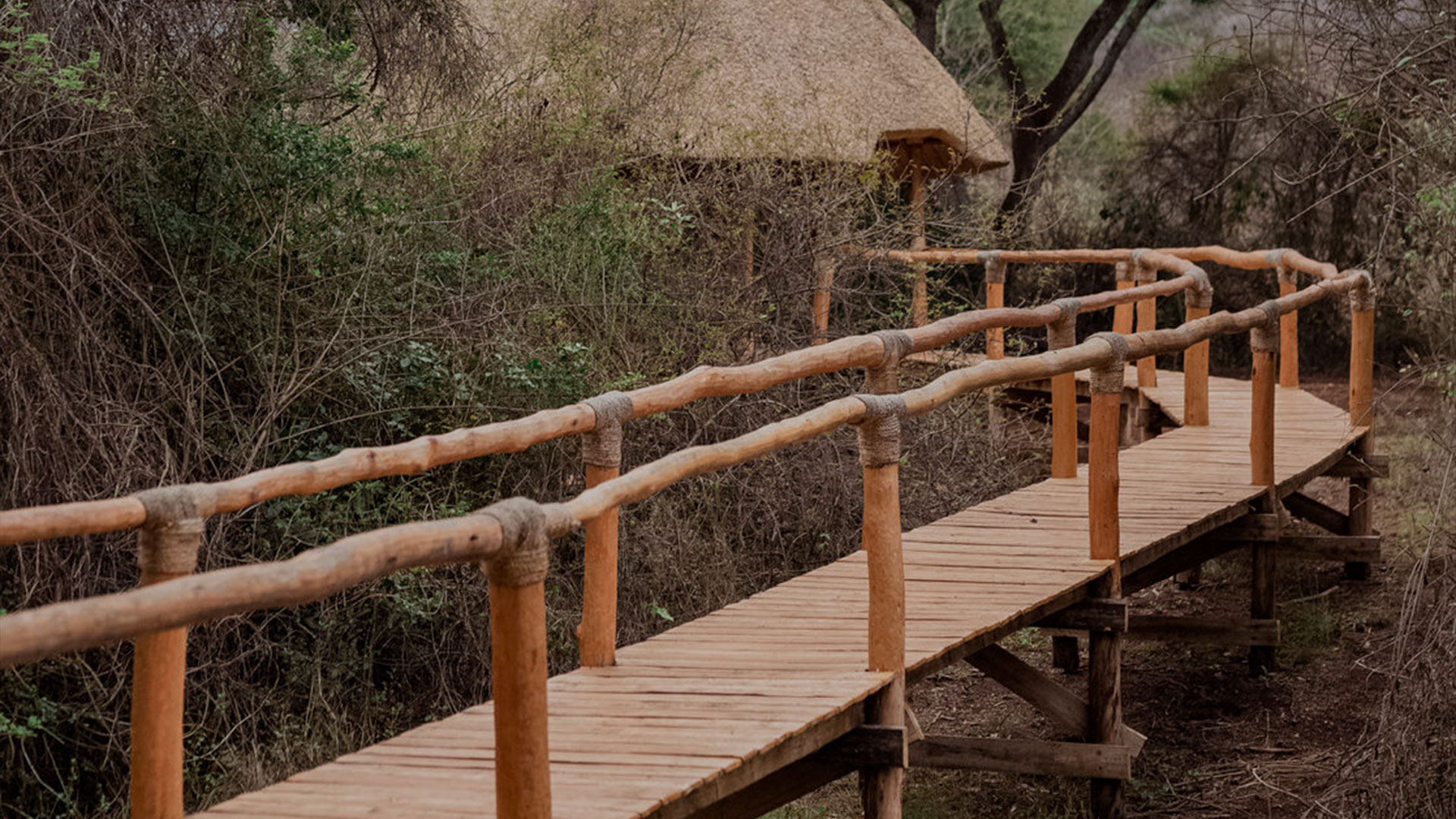 A wooden bridge leading through the forest at Akagera National Park