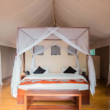 Beautiful King Size Bed with Canopy