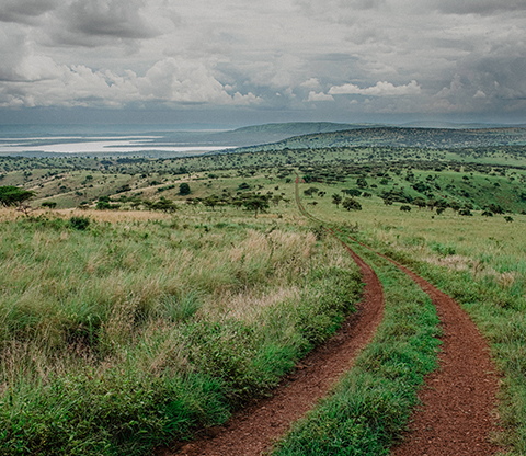 Dirt road through the Akagera National Park with mountains in the distance