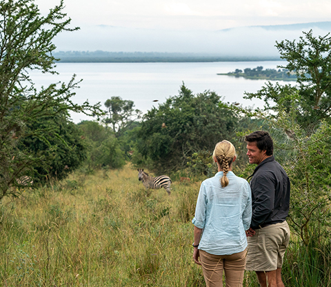 a couple on a walking safari with a zebra in view