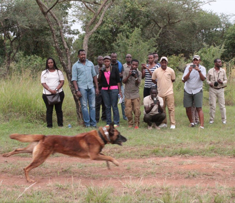 Behind the Scenes visits of Akagera Park HQ